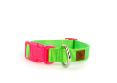 PJP Fetch Collar - Key Lime