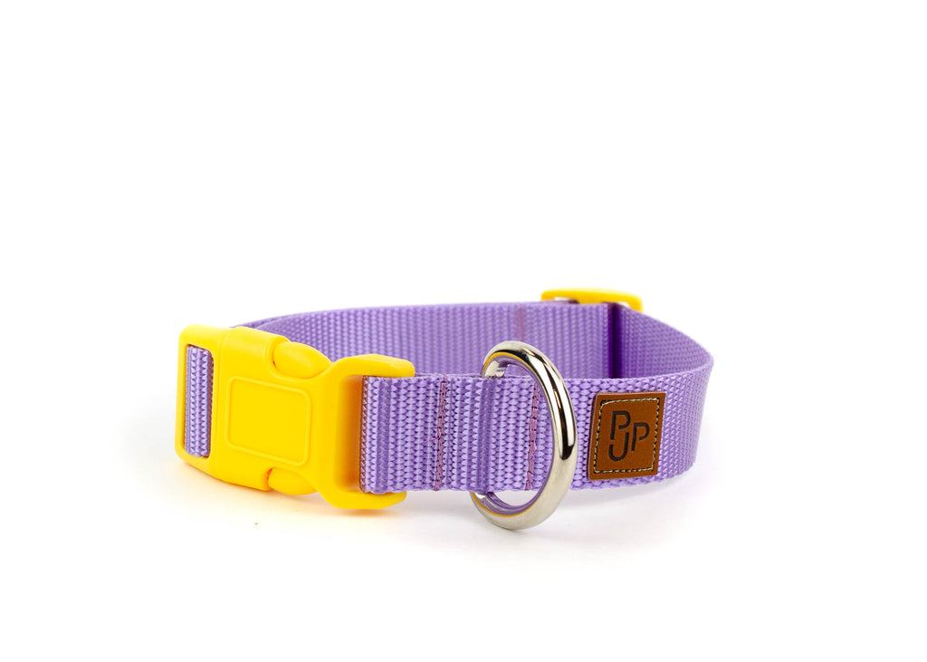 PJP Fetch Collar - Lilac