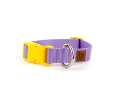 PJP Fetch Collar - Lilac