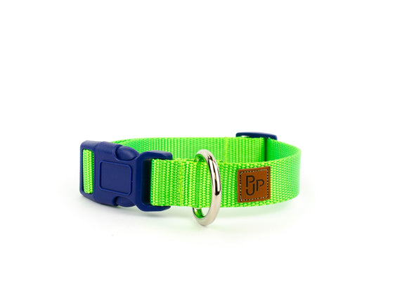 PJP Fetch Collar - Key Lime