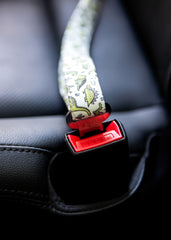 Seatbelt Leash