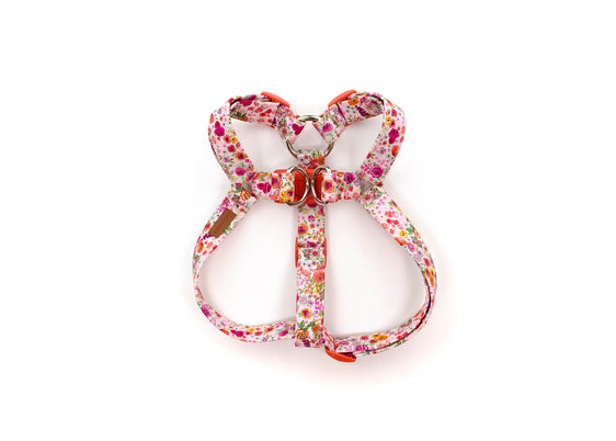 The Tilly Harness