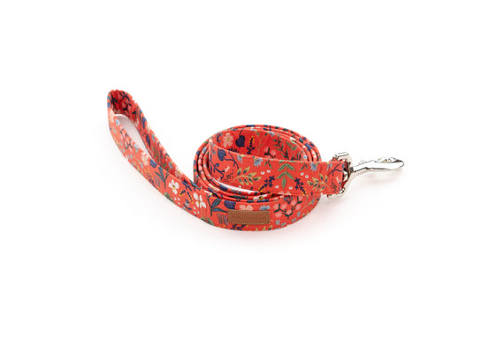 The Apple Leash
