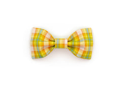 The Larry Bowtie