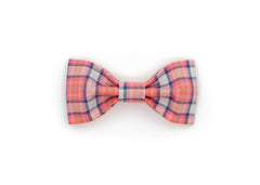 The Tedd Bowtie