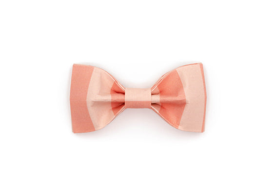 The Harlowe Bowtie