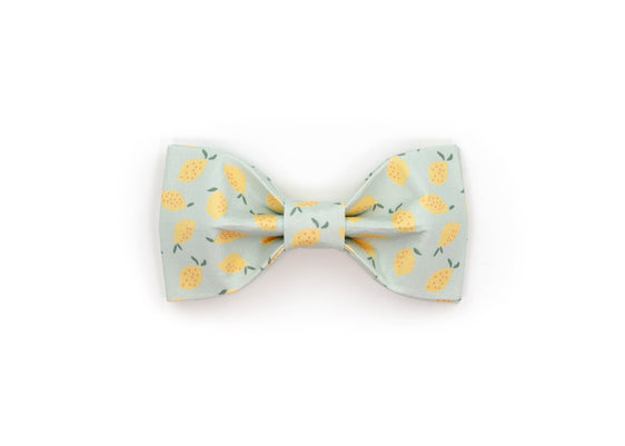 The Grove Bowtie