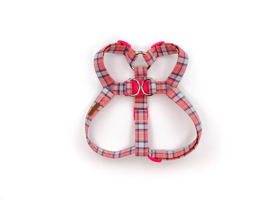The Tedd Harness