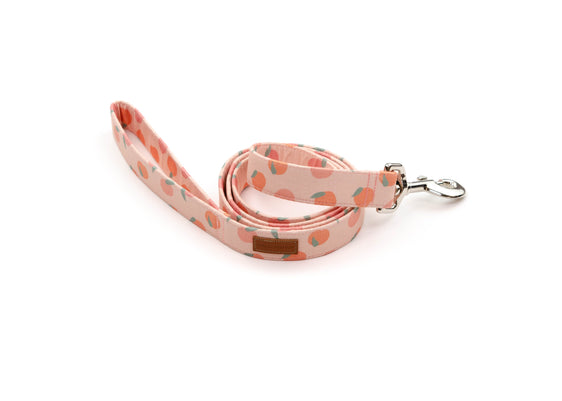 The Marietta Leash