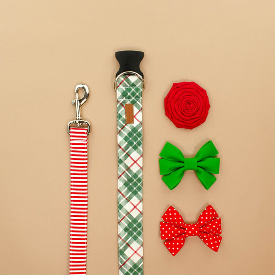 Cherry Stripe Leash