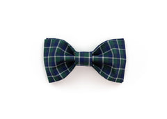 The Lyle Bowtie