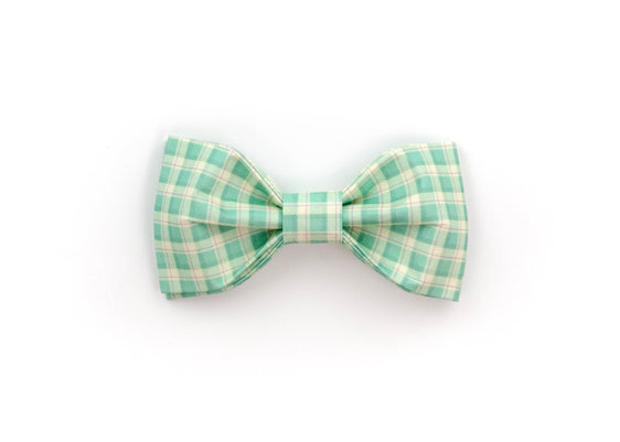 The Burke Bowtie
