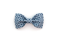 The Bruno Bowtie