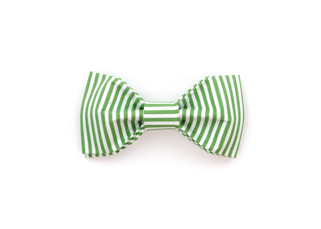 Green Stripe Bowtie