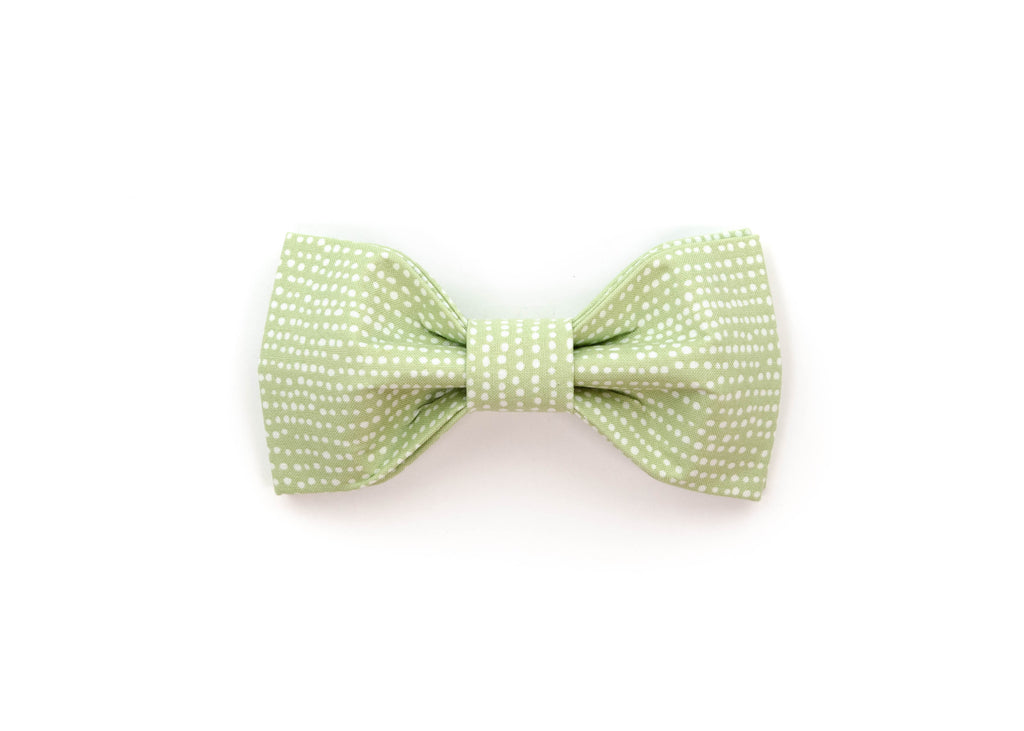 The Reed Bowtie