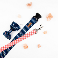 Coral Mini Gingham