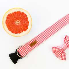 Coral Mini Gingham