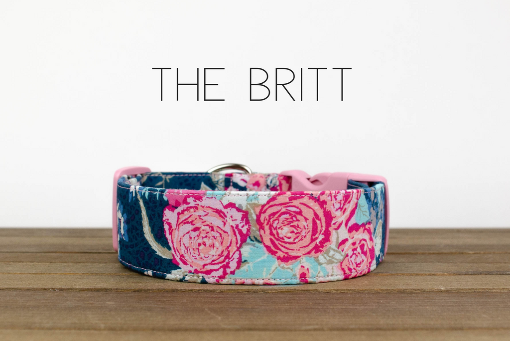 The Britt