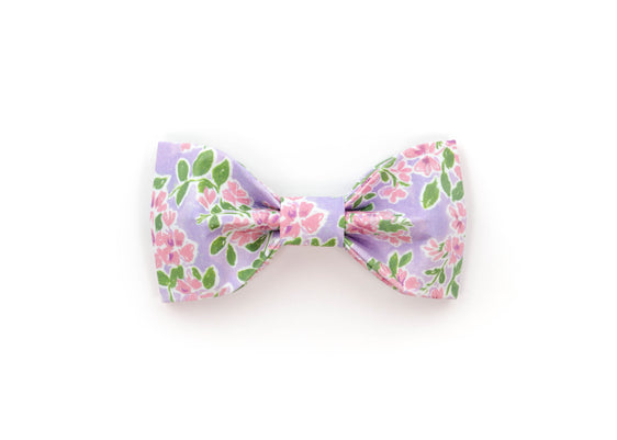 The Dee Bowtie