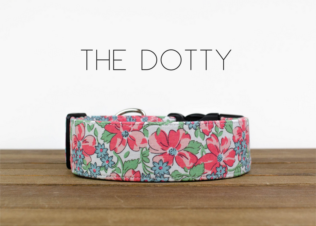 The Dotty