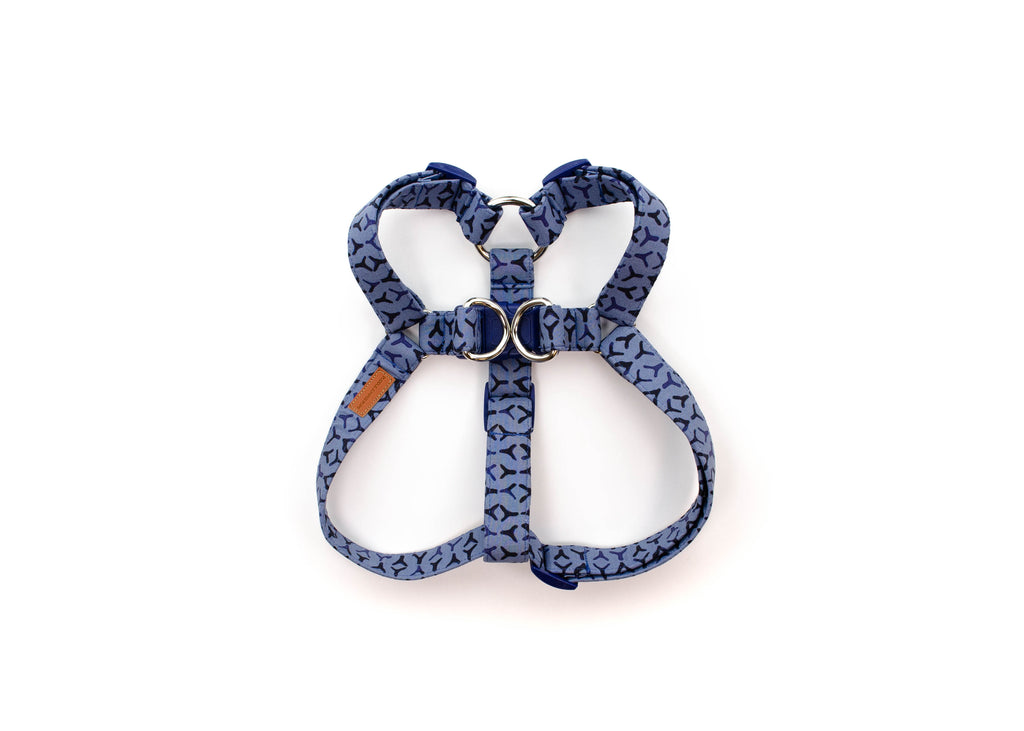The Gus Harness