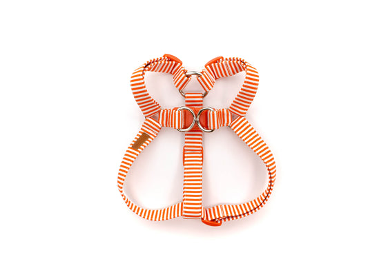 Orange Stripe Harness