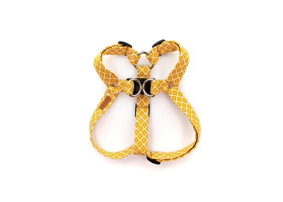The Goldie Harness