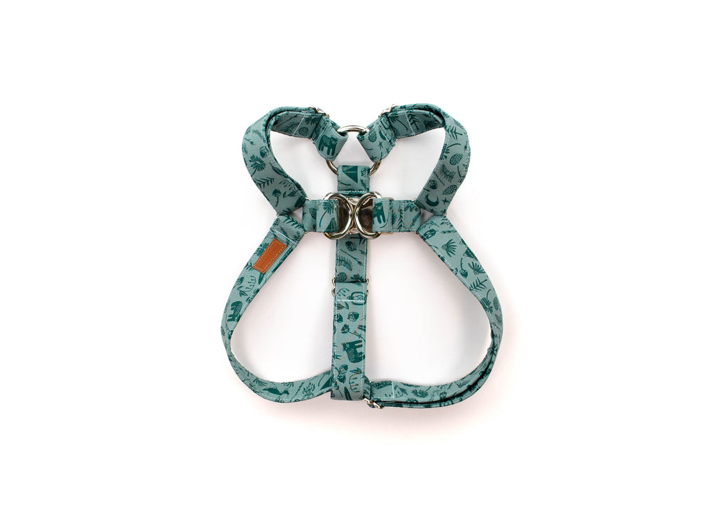 The Jasper Harness