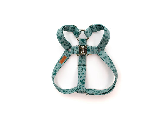 The Jasper Harness
