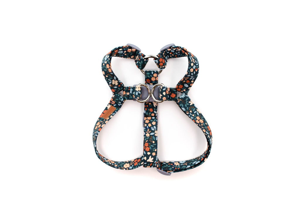 The Margo Harness