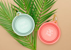 Collapsible Bowl - Feed Me & Tell Me I'm Pretty