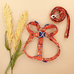 The Apple Harness