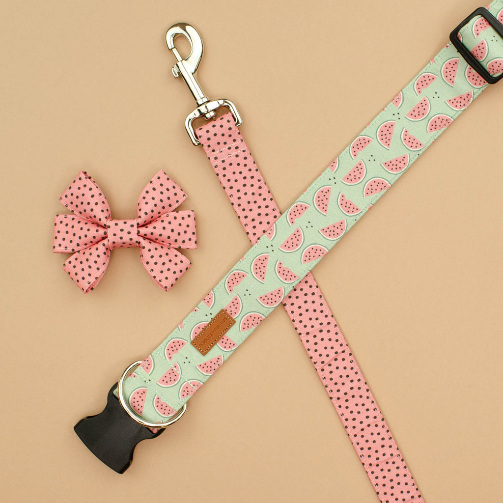 The Pip Leash