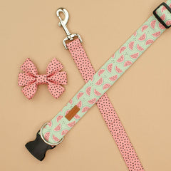 The Pip Leash