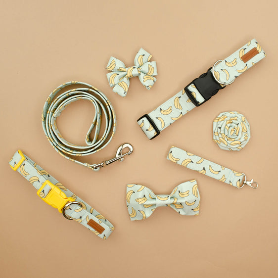 The George Leash