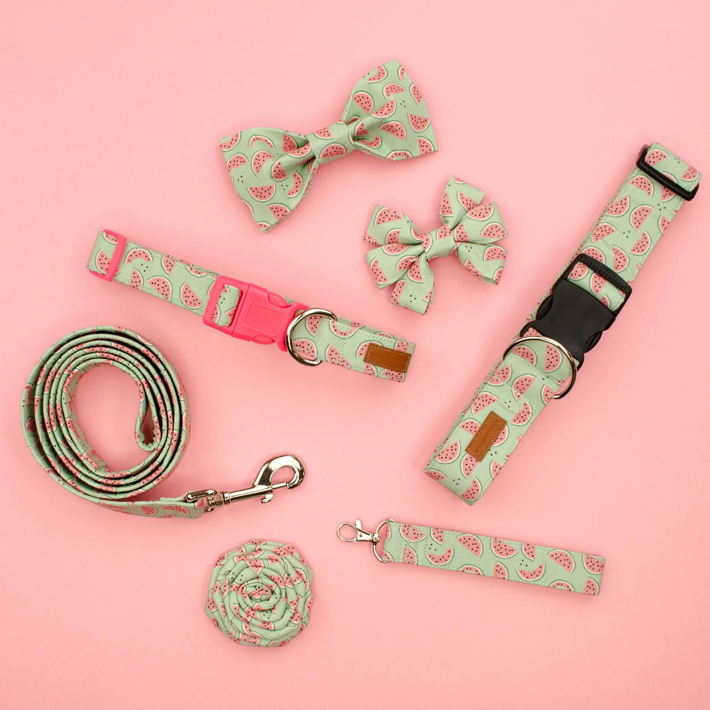 The Pip Leash