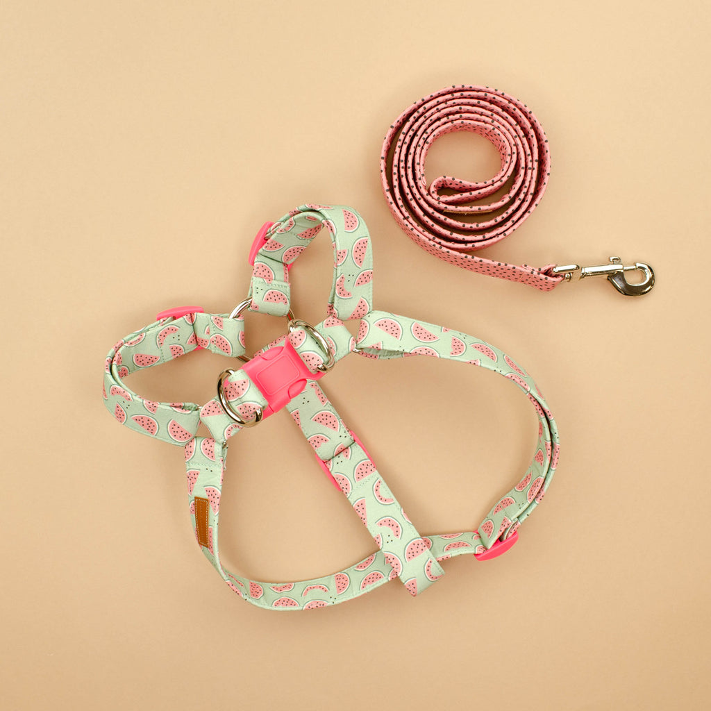 The Pip Leash