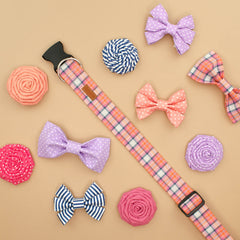 The Tedd Bowtie