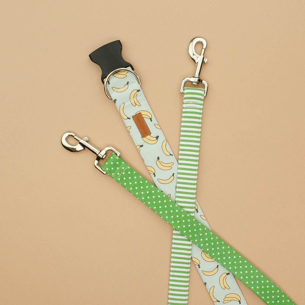 The George Harness