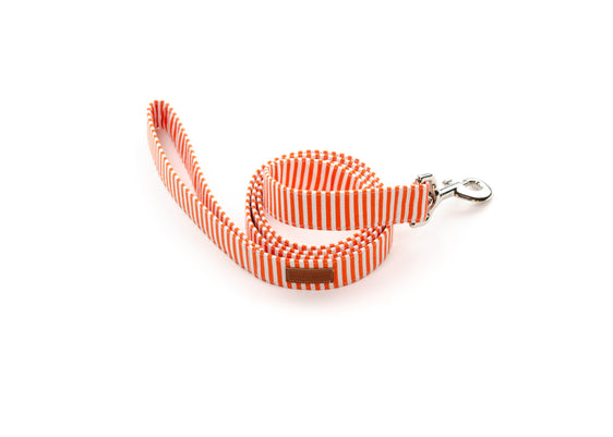 Orange Stripe Leash