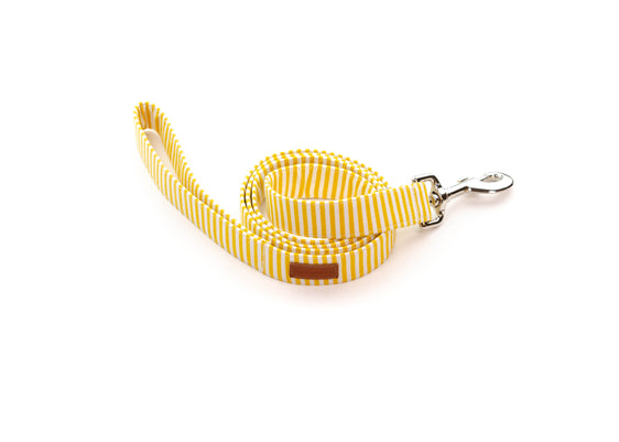 Sunshine Stripe Leash