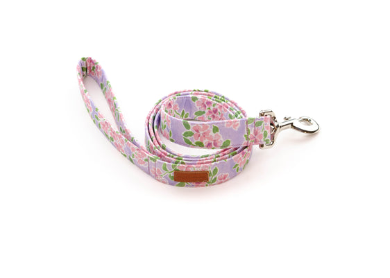 The Dee Leash