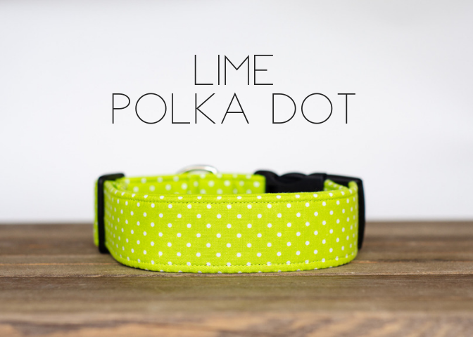 Lime Polka Dot