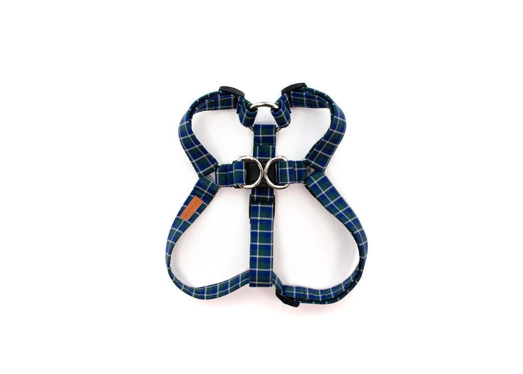 The Lyle Harness
