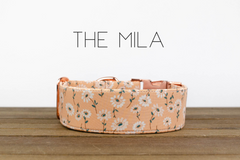 The Mila