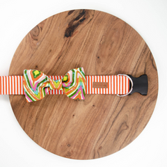 Orange Stripe