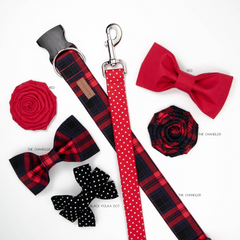 Red Polka Dot