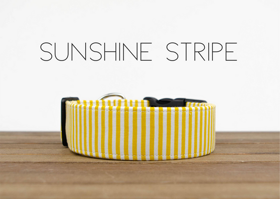 Sunshine Stripe