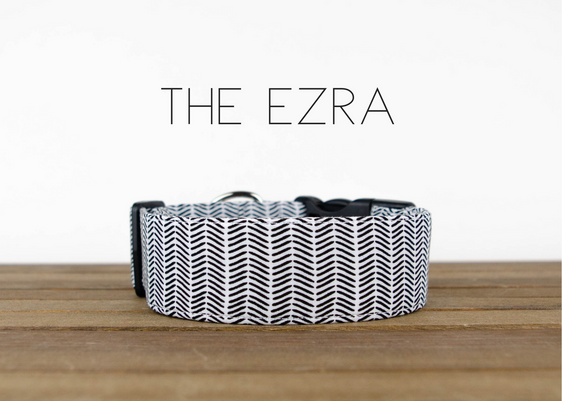 The Ezra