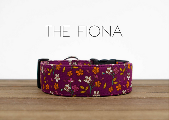 The Fiona